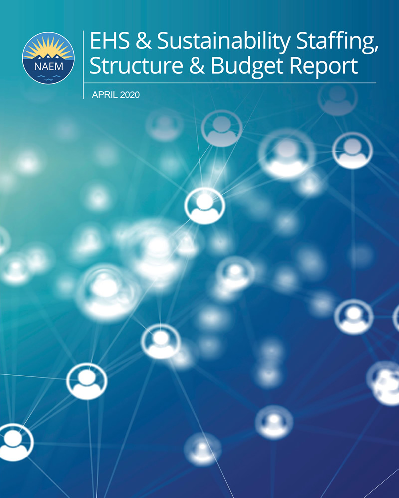 2020 EHS&S Staffing, Structure & Budget Report