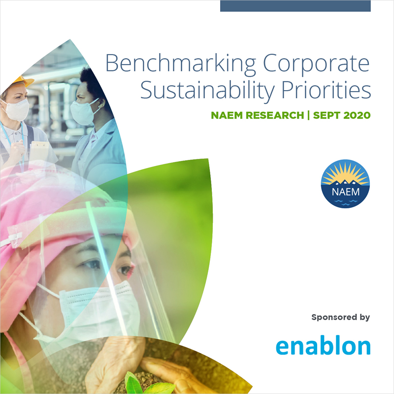 Benchmarking Corporate Sustainability Priorities