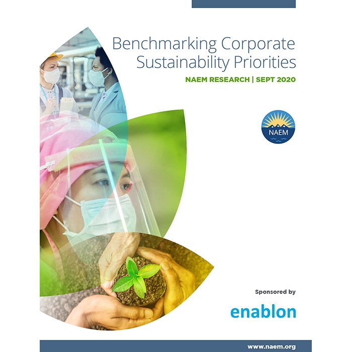 Benchmarking Corporate Sustainability Priorities