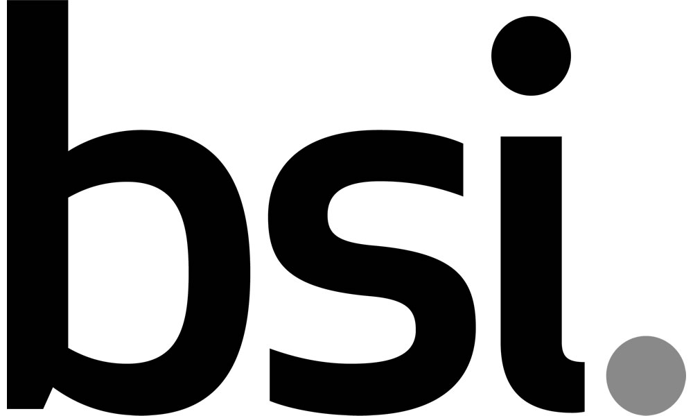 Business Improvement | Organizational Resilience | BSI America