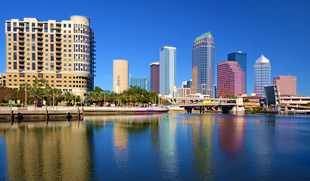 Tampa Florida Skyline