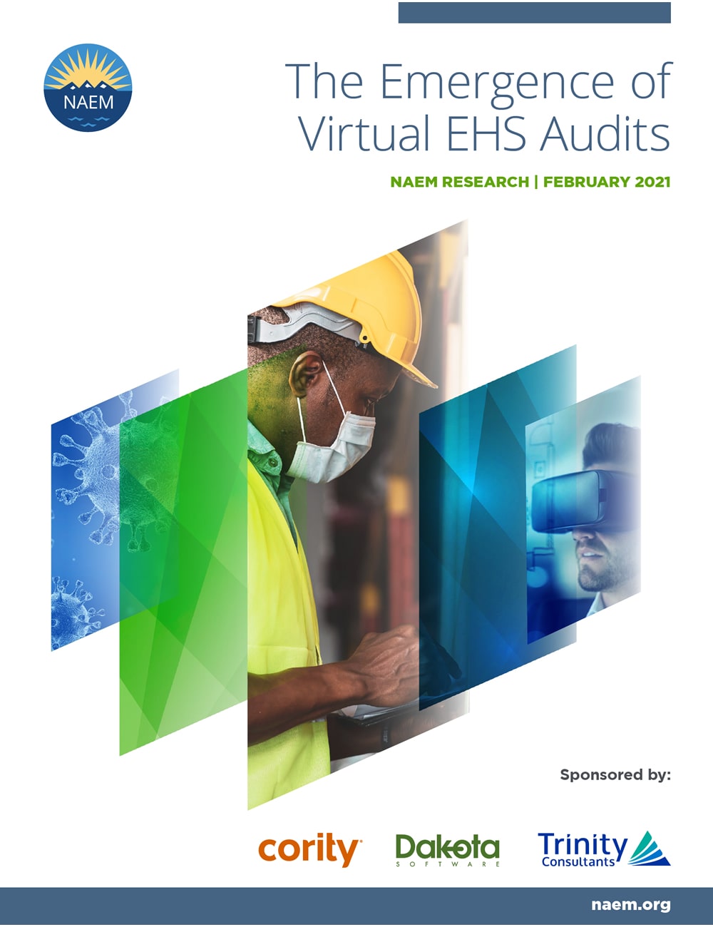 The Emergence of Virtual EHS Audits